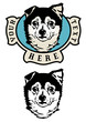 Head of dog Head of dog