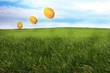 eier himmel fliegen