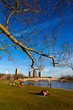 Cambridge in Massachusetts