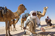 Sahara : Recherche de roses des sables