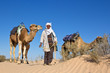 Grand Erg Oriental : Homme et ses dromadaires