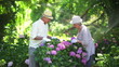 Mature couple pruning shrubs