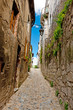 Medieval City