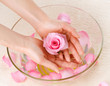 Hand Spa. Manicure concept