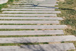 Boardwalk
