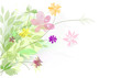 abstract background - bouquet summer flowers abstract background - bouquet summer flowers