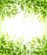 abstract background with green sheet abstract background with green sheet