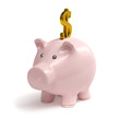 Sparschwein Dollarzeichen