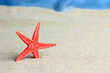 Red starfish in the sand