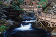Autumn creek with hiking trails and foliage