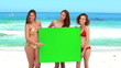Video: Three girls hold a green screen Three girls hold a green screen