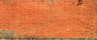Old orange wall with tree shadow Old orange wall with tree shadow