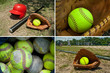 Softball and glove