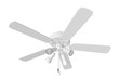 Isolated Ceiling Fan