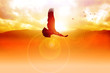 Silhouette illustration of an eagle flying on sunrise