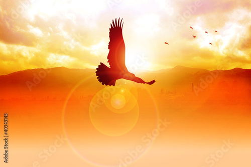 Illustration: Silhouette illustration of an eagle flying on sunrise Silhouette illustration of an eagle flying on sunrise
