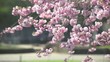 junge frau riecht an blüten