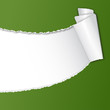 aufgerissenes Papier mit Textfreiraum