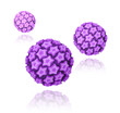 Human papillomavirus (HPV)