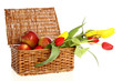 wicker basket of apples and flowers on a white background wicker basket of apples and flowers on a white background