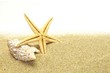 sand and seastar border
