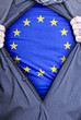 European Union Businessman European Union Businessman