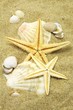 beach background