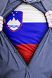 Slovenian Businessman