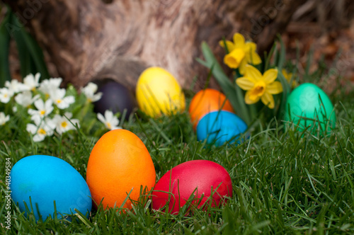 Photo: Easter eggs Easter eggs
