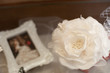 花6