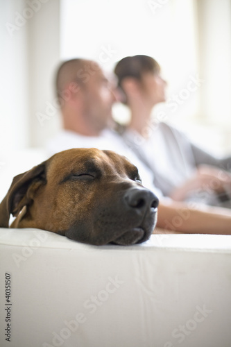 Photo: Couple with dog sitting on sofa, side view Couple with dog sitting on sofa, side view