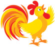 Rooster crows