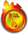 SSL - Security gold