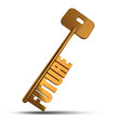 Future gold key