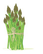 asparagus bundle