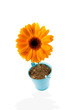 Concept fleur