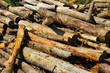 Logs