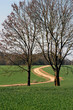 chemin