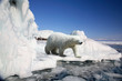 polar bear standing on the ice block