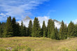 paesaggio alpino - Alpine landscape