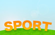 Sport