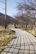 山中の遊歩道
