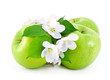 Some ripe, green apples and white flowers .