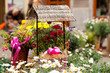 Cage and flowers