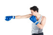 young boxer in gray shirt and blue boxing gloves