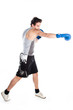 young boxer in gray shirt and blue boxing gloves