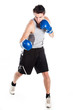 young boxer in gray shirt and blue boxing gloves