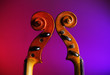 Photo: Two vintage violin scrolls Two vintage violin scrolls