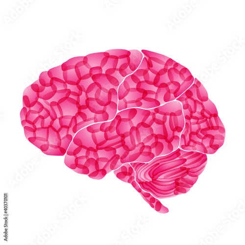 Vector: human brain, pink dream, vector abstract background human brain, pink dream, vector abstract background