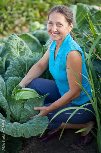 Photo: woman in plant of cabbage woman in plant of cabbage